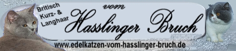 Banner vom Hasslinger Bruch