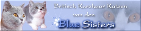 Banner von den Blue Sisters