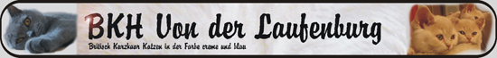 Banner BKH von der Laufenburg