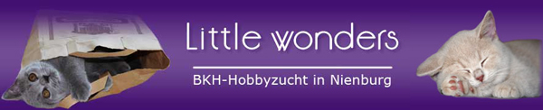 Banner von Little-wonders.de
