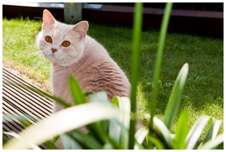 April im Gehege
