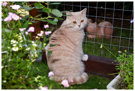 April im Gehege